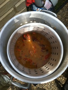 Place crawfish in basket and cook with lid closed for at least 7-10 minutes depending on the size of crawfish.