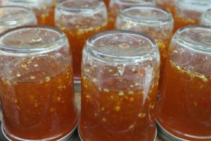 Fill jars and turn upside down for 20 minutes.  Turn right side up and store.