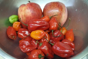 4 apples peeled and cored.  2 cups of  Habaneros (seeded).