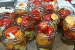 Add garlic to jars and fill with vegetables.  Bring 3 part Apple Cider Vinegar, 1 part Water, 1 part Brown Sugar (or Honey) and 1 part pickling Salt.  Add Tablespoon of Dill, Thyme, cracked Peppercorn and 1 teaspoon of Alum.  Bring to boil and fill 1/2" to top.