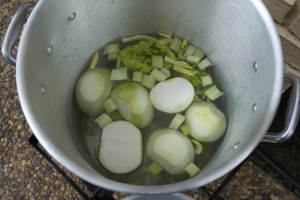 Start boiling water with celery and onions.