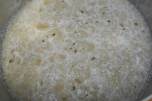 10 minutes for yeast for bloom.