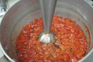 I used a handheld immersion to blend.