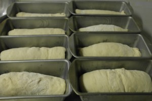 Allow to rise in pan.