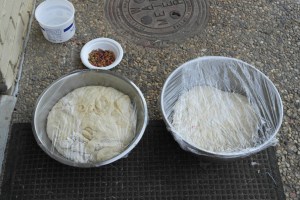 Threw it outside to proof since it was so hot.  Next to the cat food.