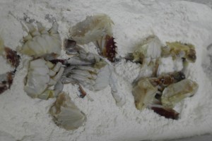 Corn starch or tempura.