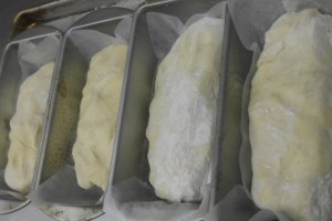 Divide into quarters and set in warm area covered.