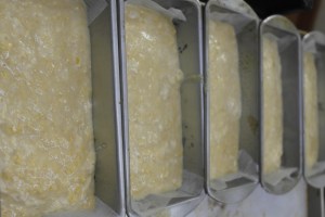 Pour into greased pans.