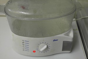 I used an electric steamer.