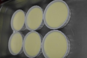 Prepare hot water bath for ramekin and gently pour in custard.