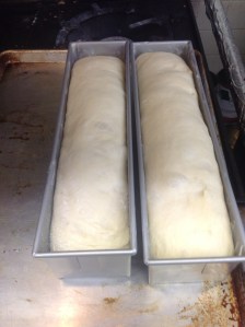 Allow to rise above pans.