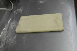 Fold into thirds, wrap and refrigerate again overnight.