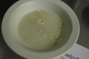 Yeast.