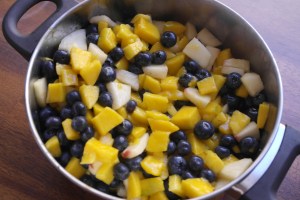Prepped mangos, white peaches and blueberries with sugar and lemon juice the day before.