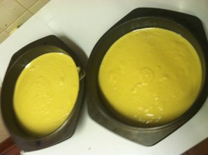 Instruction said 2 pans...