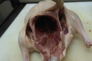 Separate skin from meat to make butchering easier.