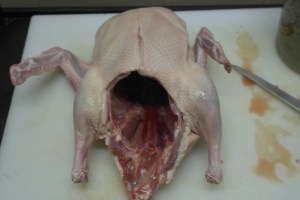 Cut away the fat and skin at the cavity opening.