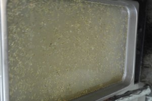 Added herbs and aromatics.