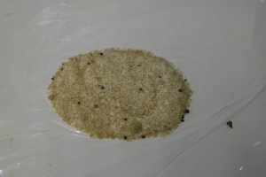 Pour enough to cover bottom of breast.