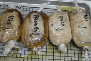 3 days of curing in the fridge.