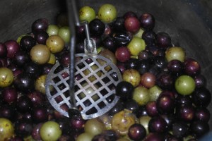 Add to stockpot and bring to boil while mashing.