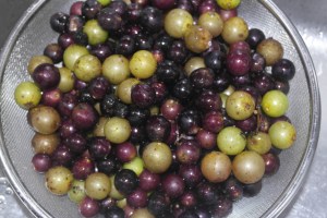 3 pounds of grapes.