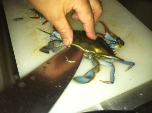 Place knife into the back and quarter turn should pop the top loose.