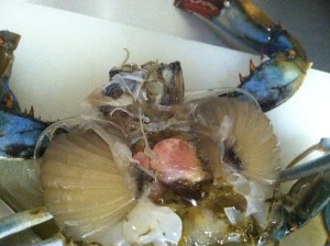 Using knife or scissors, remove the mouth.