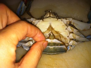 Cut the carapace, the front flap of shell. This one is female since it's wider. Males have a more narrow carapace.