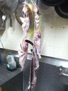 My father also bought some Kintaro and monkfish which he is drying overnight.