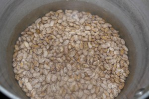 Fill large sauce pan with washed beans and water.  Bring to simmer and continue adding water to prevent burning.  I added chicken stock towards the end.