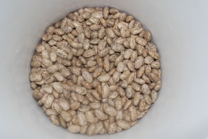 1 pound dried pinto beans.
