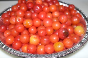 Cleaned and stemmed. 