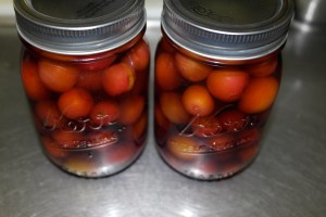 Add plum to jar and then fill with brandy.