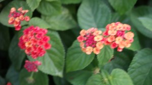 Samsung 45mm 3D.  I realized after taking the picture that I do not have 3D glasses...  